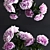 Elegant Peonies Bouquet 3D model small image 2