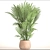 Elegant Kentia Palm: Howea Forsteriana 3D model small image 3