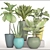 Indoor Potted Plant Collection 3D model small image 3