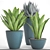 Green Oasis: 60 Asplenium & Agave 3D model small image 3