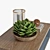 Elegant Decor Coffee Table 3D model small image 3