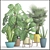 Green Oasis Collection: Potted Plants 3D model small image 3
