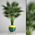 Tropical Vibes: Palm Tree 2 3D model small image 1