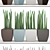 Stunning Sansevieria: A Pot Full 3D model small image 3