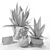  Agave Deluxe Home Decor Set 3D model small image 2