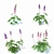 Beautiful Lupinus Perennial Flowers 3D model small image 3