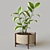 Modern Pot Plant: Stylish Décor for Your Space 3D model small image 1