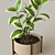 Modern Pot Plant: Stylish Décor for Your Space 3D model small image 2