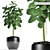 Lush Greenery Collection - PLANTS 122 3D model small image 1