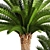 Lush Palm Collection: Phoenix Canariensis 3D model small image 2