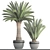 Lush Palm Collection: Phoenix Canariensis 3D model small image 3