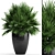 Hardy Chamaerops Palm: Exotic Elegance 3D model small image 1