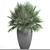 Hardy Chamaerops Palm: Exotic Elegance 3D model small image 3