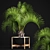 Exotic Butia Palm Tree 3D model small image 1