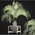 Exotic Butia Palm Tree 3D model small image 3