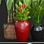 Diverse Tropical Plant Collection 3D model small image 2