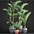 Tropical Plant Collection: Cyrtostachys 3D model small image 3