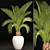 Tropical Elegance: White Pot Palm 3D model small image 1
