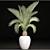 Tropical Elegance: White Pot Palm 3D model small image 3