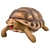 Smooth Turtle 3D Model 3D model small image 1