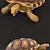 Smooth Turtle 3D Model 3D model small image 2