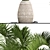 Tropical Bottle Palm Collection 3D model small image 2