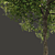 Optimized Tree Model for Summer 3D model small image 2