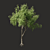 Summer Tree Model: High-Quality & Versatile 3D model small image 2