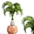 Rare Bottle Palm Tree 3D model small image 1