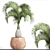 Rare Bottle Palm Tree 3D model small image 3