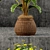 Lush Greenery: 55 Stunning Plants 3D model small image 2