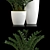 Lush Greenery: 56 Plant Collection 3D model small image 2