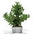 Exquisite Plant Decor for Chic Spaces. 3D model small image 1