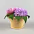 Pion Rose and Hydrangea Basket 3D model small image 1