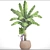 Japanese Banana Plant - Musa Basjoo 3D model small image 3