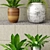 Botanical Bundle: Outdoor Plant Set 3D model small image 2