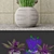 Botanical Bundle: Outdoor Plant Set 3D model small image 3