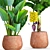 Tropical Plant Combo: Ravenala & Banana 3D model small image 2