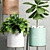 Botanical Bliss Planters Set 3D model small image 3