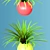 Realistic Home Plant Variety in Colorful Spheres 3D model small image 3