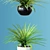 Realistic Home Plant in Multicolored Pots 3D model small image 3