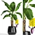 Fruitful Banana Palm 3D model small image 1