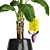 Fruitful Banana Palm 3D model small image 2