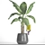 Fruitful Banana Palm 3D model small image 3