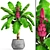 Velvet Banana: Musa velutina 3D model small image 1