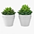 Miniature Succulent Plants Set 3D model small image 1