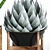 Tropical Plant Collection: Agave, Alocasia, Sansevieria 3D model small image 1