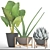 Tropical Plant Collection: Agave, Alocasia, Sansevieria 3D model small image 2