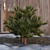 Charming Pine Miniature 3D model small image 2
