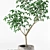 Miniature Potted Tree: Petite and Perfect 3D model small image 2